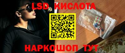 амф Сланцы