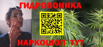 амф Сланцы
