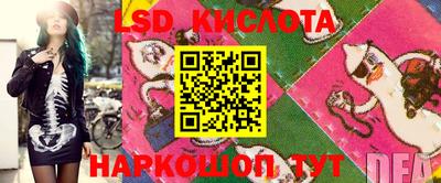 амф Сланцы