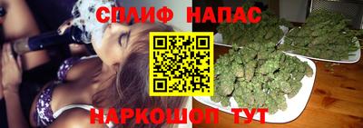 амф Сланцы