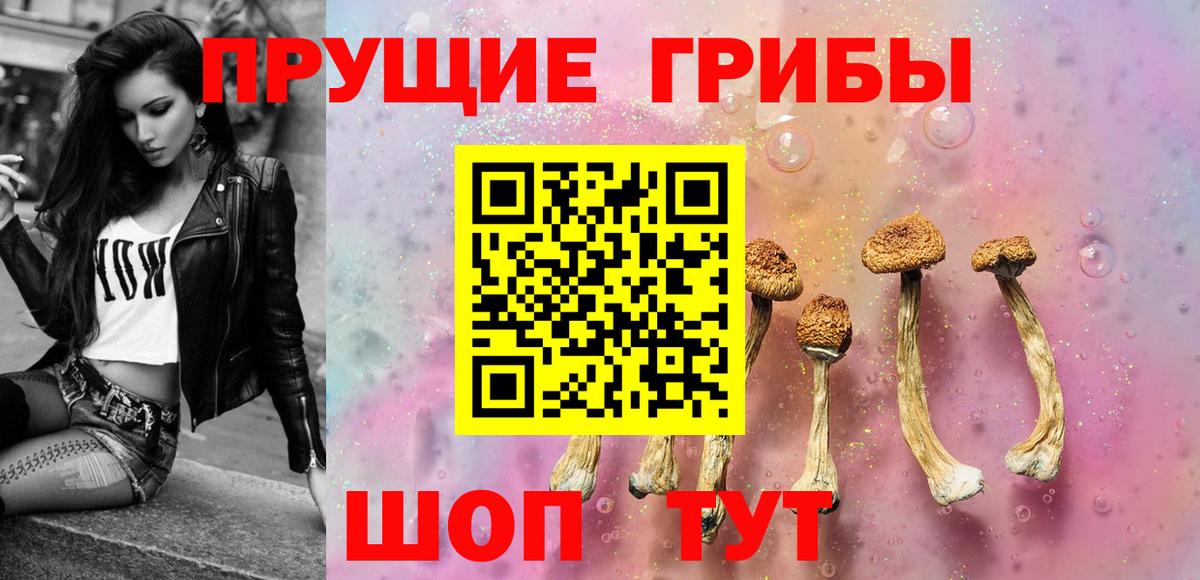 Псилоцибиновые грибы GOLDEN TEACHER  Вход с VPN  Псилоцибиновые грибы прущие грибы  Санкт-Петербург 